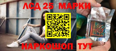 молекула духа Будённовск
