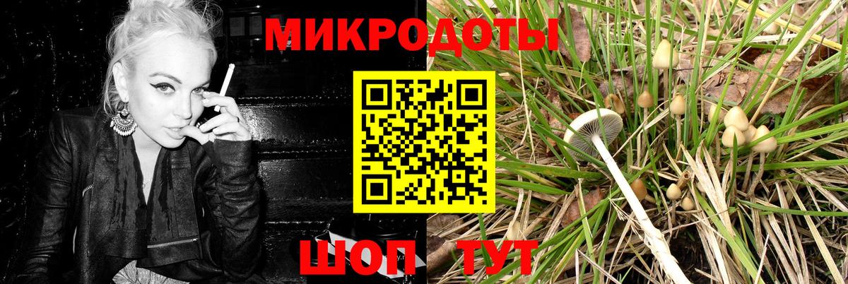Североуральск  наркотики  Вход с VPN  Галлюциногенные грибы Psilocybe 